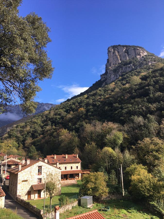 Albergue Cabrales 카레냐 데 카브랄레스 외부 사진